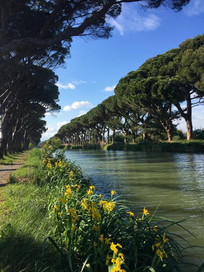 La Passerelle Du Canal Sallèles-dʼAude Exteriér fotografie